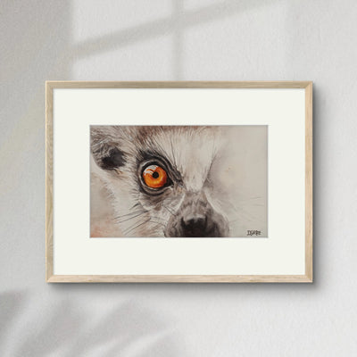 Miradas de la Naturaleza - Lemur de Cola Anillada | Pintura en acuarela