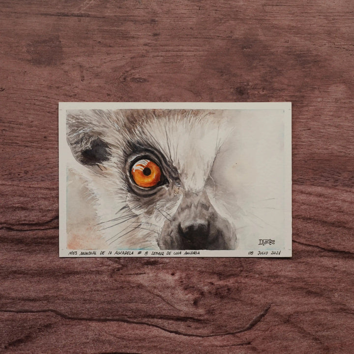 Miradas de la Naturaleza - Lemur de Cola Anillada | Pintura en acuarela por Daniela Castro