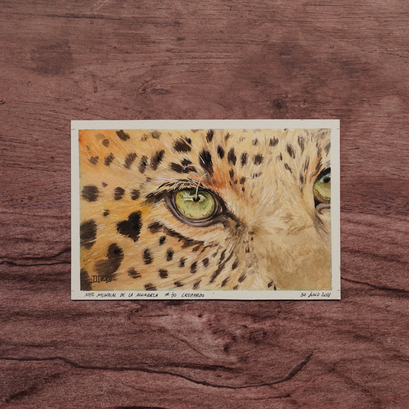 Miradas de la Naturaleza - Leopardo | Pintura en acuarela por Daniela Castro