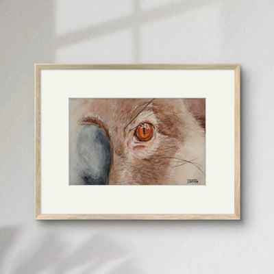 Miradas de la Naturaleza - Koala | Pintura en acuarela